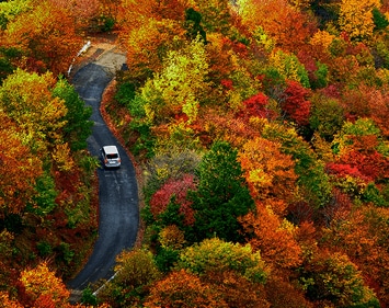 Best Scenic Drives for Fall Color Firestone Complete Auto Care